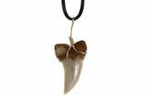 Fossil Mako Tooth Necklace - Bakersfield, California #95269-2